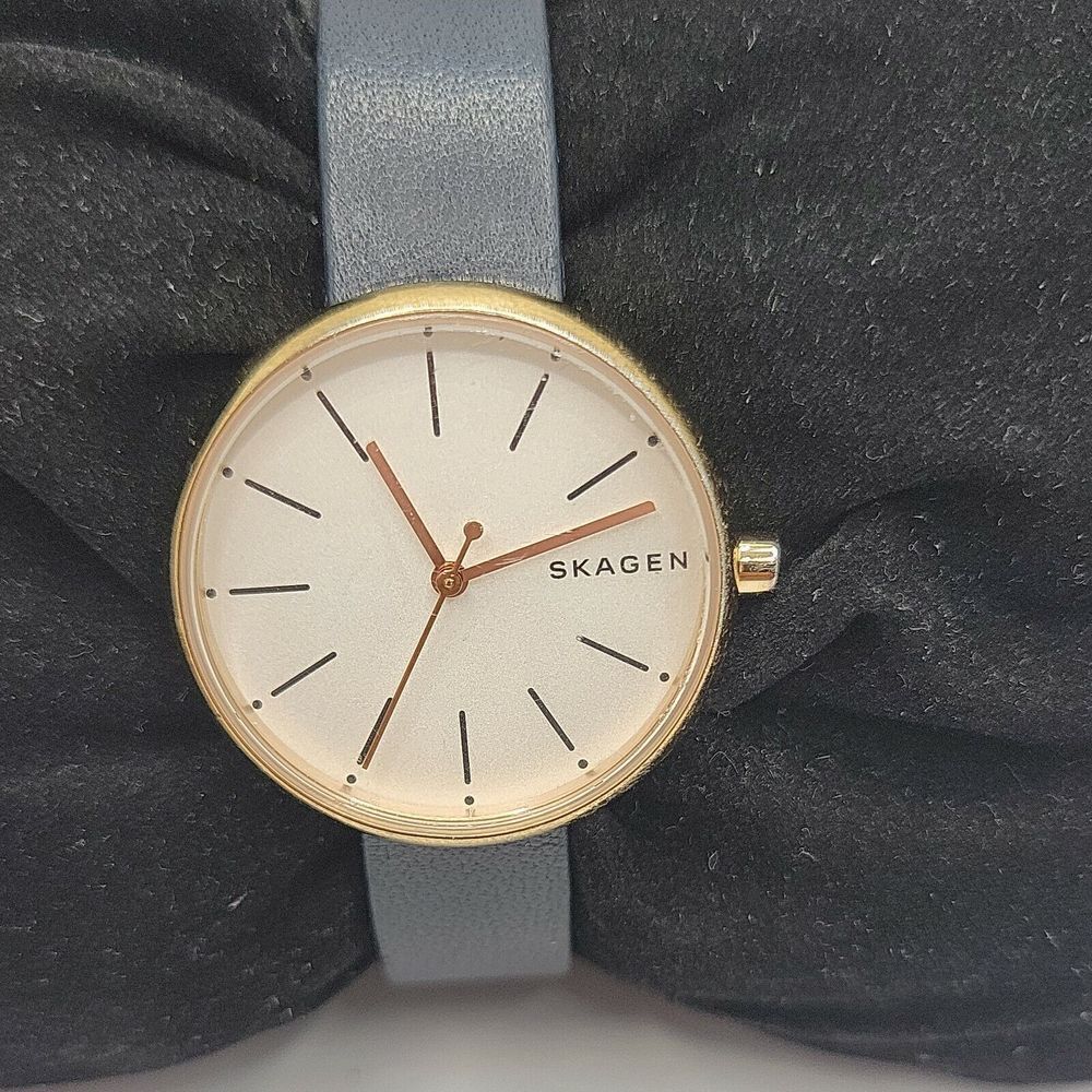 Skagen Signature SKW2592 Women Navy Leather Analog Dial Quartz Wrist Watch AM757
